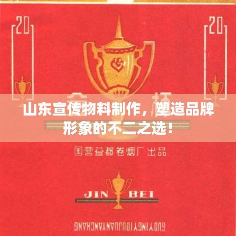 山东宣传物料制作，塑造品牌形象的不二之选！
