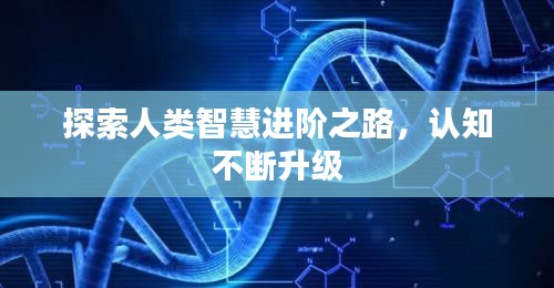 探索人类智慧进阶之路，认知不断升级