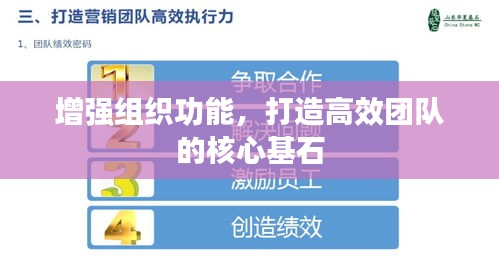 增强组织功能，打造高效团队的核心基石