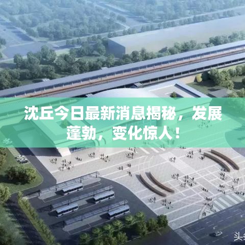 沈丘今日最新消息揭秘，发展蓬勃，变化惊人！