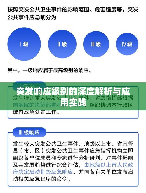 突发响应级别的深度解析与应用实践