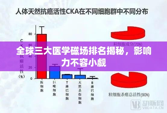 全球三大医学磁场排名揭秘，影响力不容小觑
