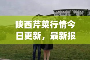陕西芹菜行情今日更新，最新报价及市场动态一网打尽