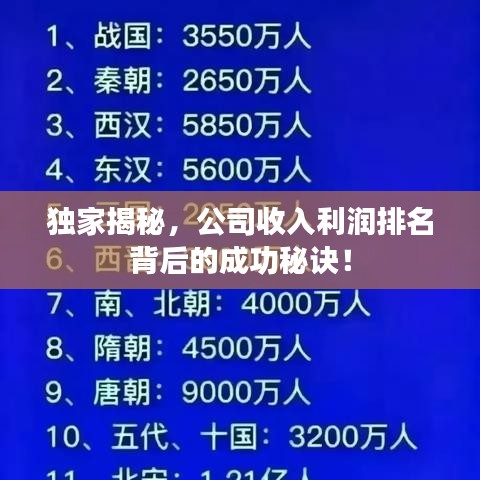 独家揭秘，公司收入利润排名背后的成功秘诀！