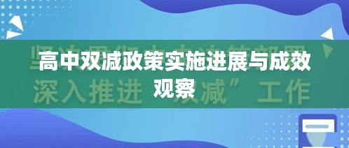 高中双减政策实施进展与成效观察
