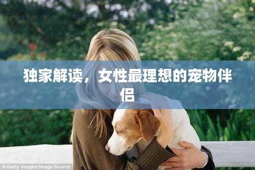 独家解读，女性最理想的宠物伴侣