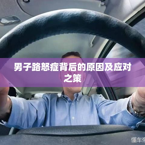 男子路怒症背后的原因及应对之策