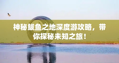 神秘鲅鱼之地深度游攻略，带你探秘未知之旅！