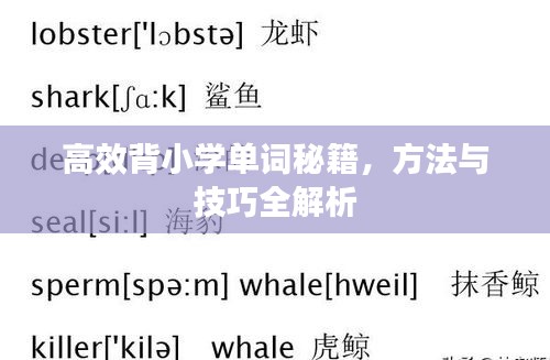 高效背小学单词秘籍，方法与技巧全解析