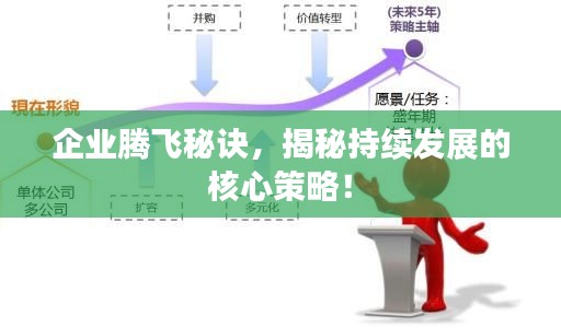 企业腾飞秘诀，揭秘持续发展的核心策略！