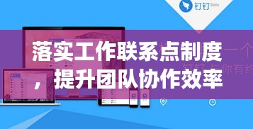 落实工作联系点制度，提升团队协作效率与执行力之关键策略