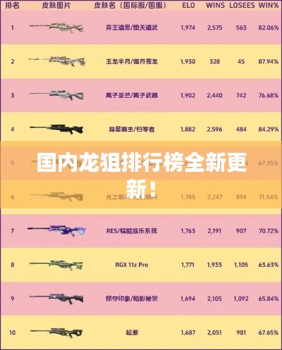 国内龙狙排行榜全新更新！