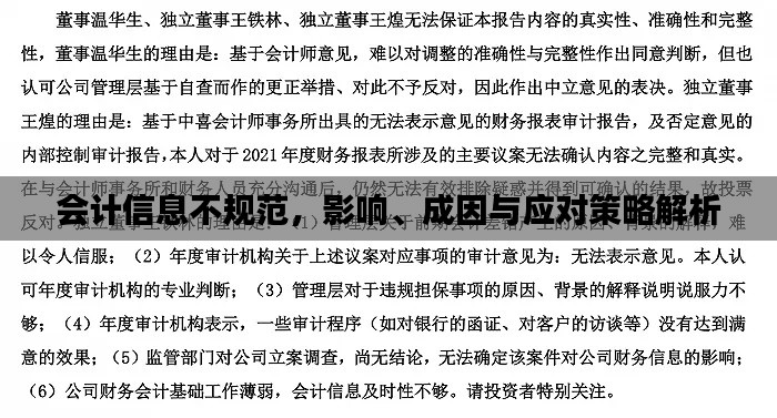 会计信息不规范，影响、成因与应对策略解析