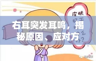 右耳突发耳鸣，揭秘原因、应对方法与预防措施！