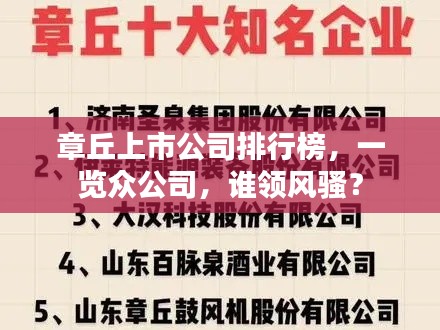 章丘上市公司排行榜，一览众公司，谁领风骚？