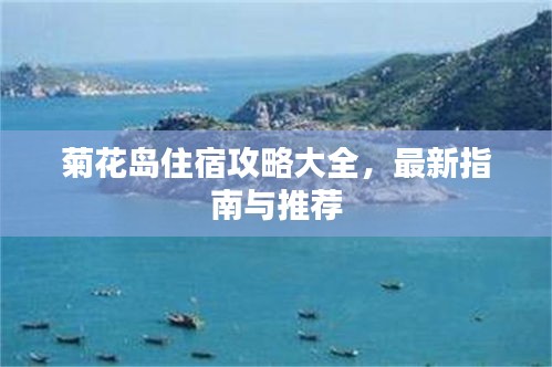 菊花岛住宿攻略大全，最新指南与推荐
