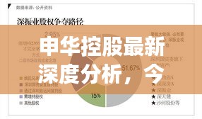 申华控股最新深度分析，今日市场表现及前景展望