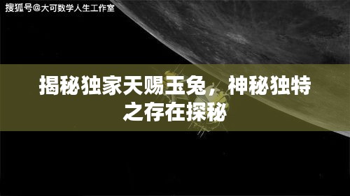 揭秘独家天赐玉兔，神秘独特之存在探秘