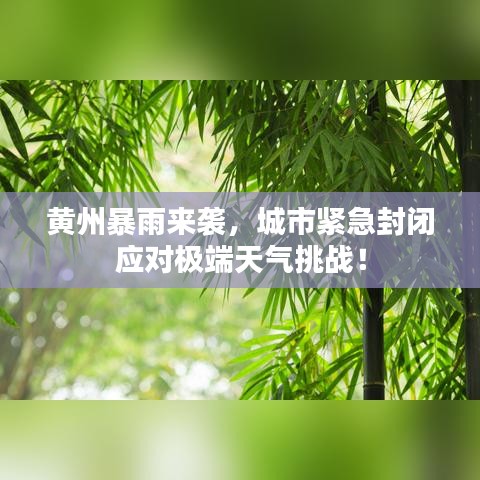 黄州暴雨来袭，城市紧急封闭应对极端天气挑战！