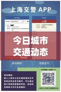今日城市交通动态，实时路况查询最新消息，轻松掌握路况信息