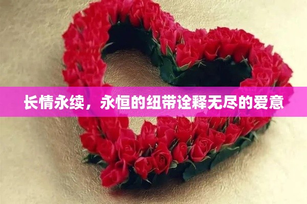 长情永续，永恒的纽带诠释无尽的爱意