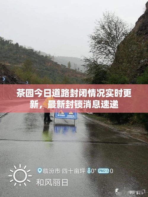 茶园今日道路封闭情况实时更新，最新封锁消息速递