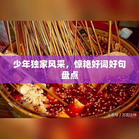 少年独家风采，惊艳好词好句盘点