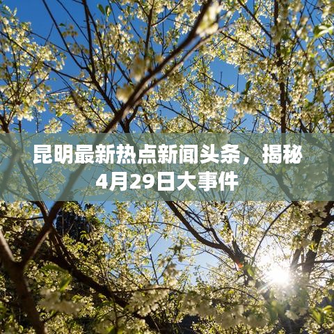 昆明最新热点新闻头条，揭秘4月29日大事件