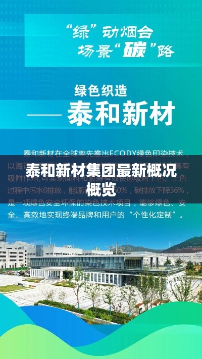 泰和新材集团最新概况概览