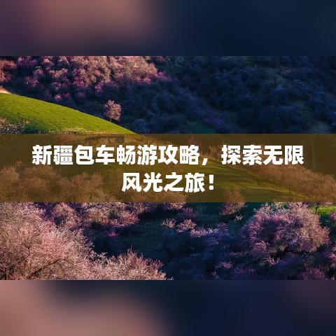 新疆包车畅游攻略，探索无限风光之旅！