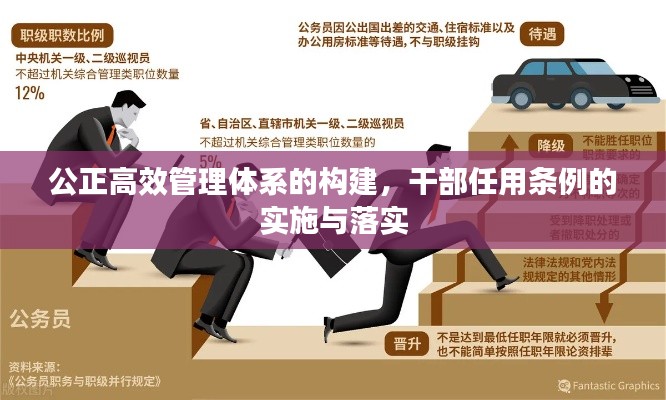 公正高效管理体系的构建，干部任用条例的实施与落实