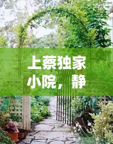 2025年5月29日 第4页