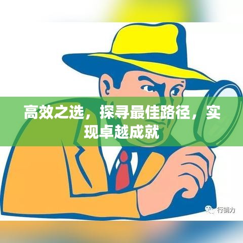 高效之选，探寻最佳路径，实现卓越成就