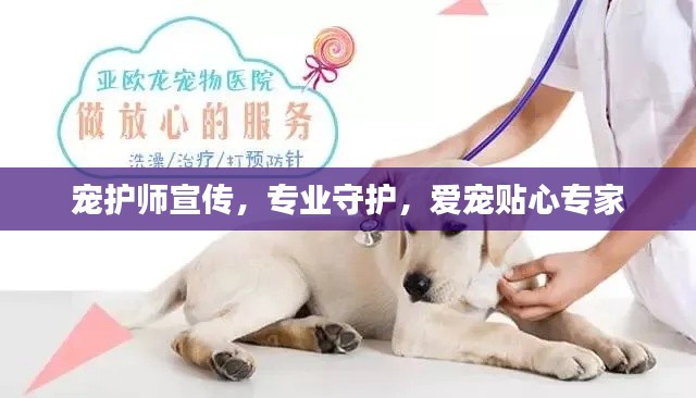 宠护师宣传，专业守护，爱宠贴心专家