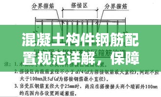 混凝土构件钢筋配置规范详解，保障建筑安全的钢筋布局指南