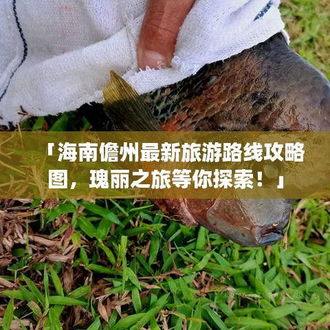 「海南儋州最新旅游路线攻略图，瑰丽之旅等你探索！」