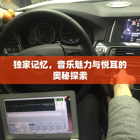 独家记忆，音乐魅力与悦耳的奥秘探索