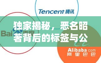 独家揭秘，恶名昭著背后的标签与公共议题之争