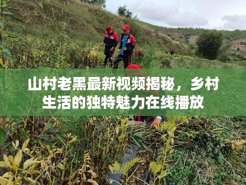 山村老黑最新视频揭秘，乡村生活的独特魅力在线播放