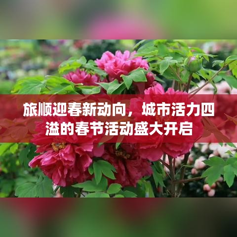 旅顺迎春新动向，城市活力四溢的春节活动盛大开启