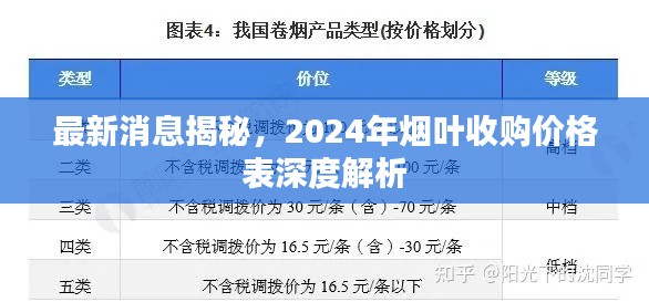 最新消息揭秘，2024年烟叶收购价格表深度解析