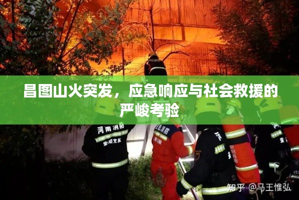 昌图山火突发，应急响应与社会救援的严峻考验