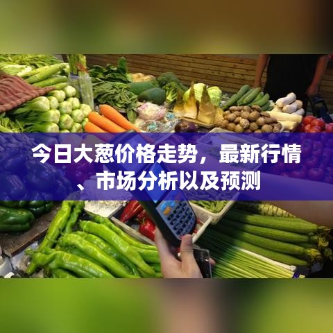 今日大葱价格走势，最新行情、市场分析以及预测