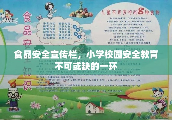 食品安全宣传栏，小学校园安全教育不可或缺的一环