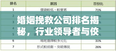 婚姻挽救公司排名揭秘，行业领导者与佼佼者深度探寻