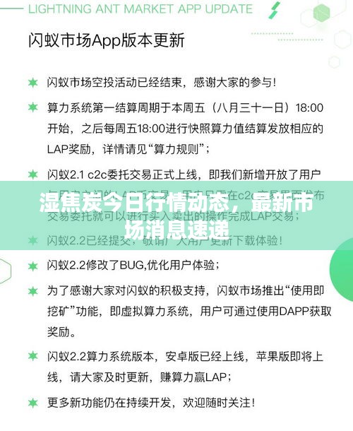 湿焦炭今日行情动态，最新市场消息速递