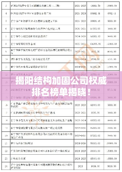 揭阳结构加固公司权威排名榜单揭晓！