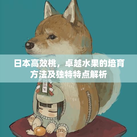 日本高效桃，卓越水果的培育方法及独特特点解析