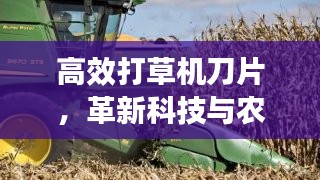2025年6月 第125页