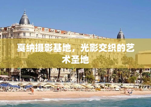 戛纳摄影基地，光影交织的艺术圣地